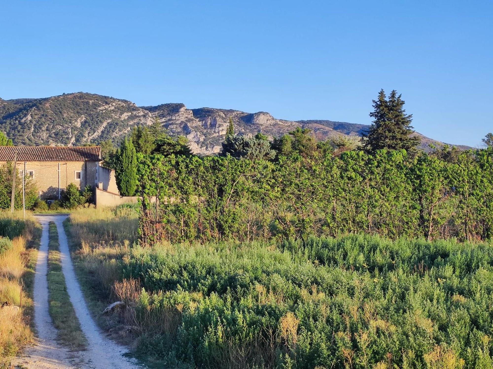 Chambre 3 Personnes Avec Salle De Bain Dans Mas Du Luberon Robion en Luberon Екстериор снимка